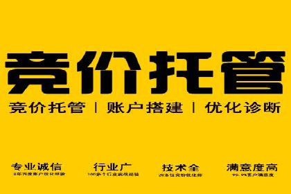 电商平台SEM推广的全过程解析
